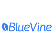 BlueVine Capital