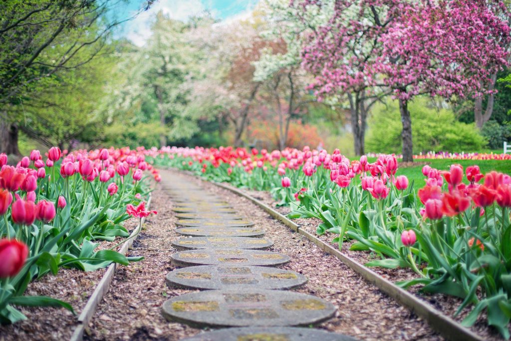 Flower path made by a landscaping company