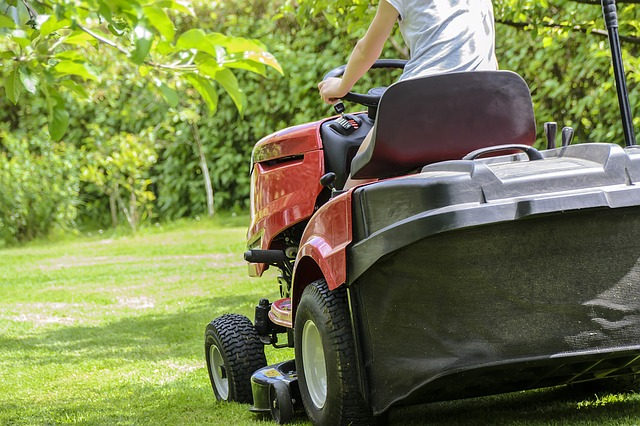 lawn mower, landscaping company, lawn care, professional landscaping