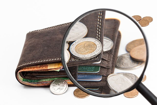 wallet, coins, magnifying glass,