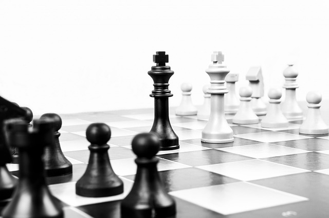 chess, metaphor, board, HR software solution, gusto vs adp