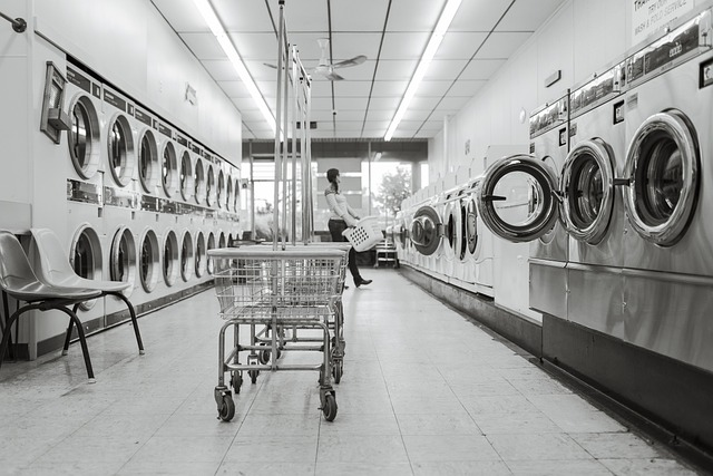 laundry saloon, laundry, person, how much to start a laundromat