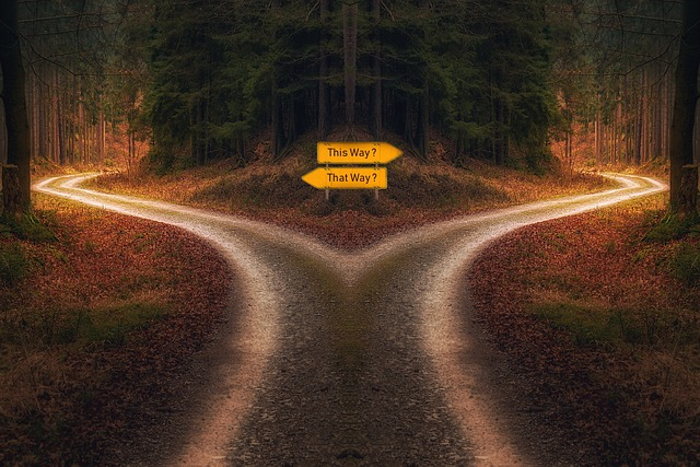 decision, path, signpost, alternative business financing vs bank loans
